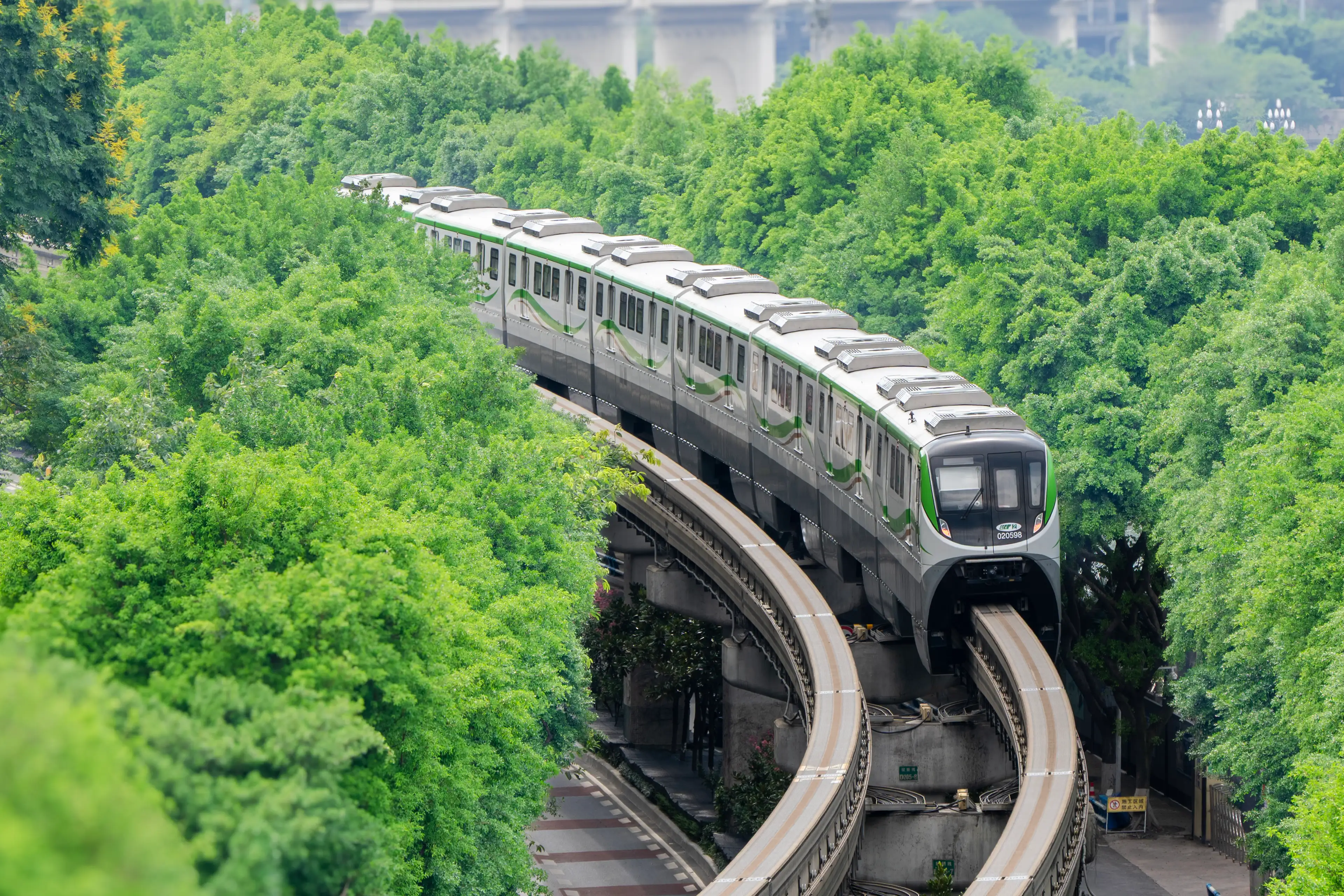 一列单轨重庆轻轨在高架轨道上穿过茂密翠绿的树冠。交通线下方和后方可以看到带有白色标记的道路和一座远处的桥梁。