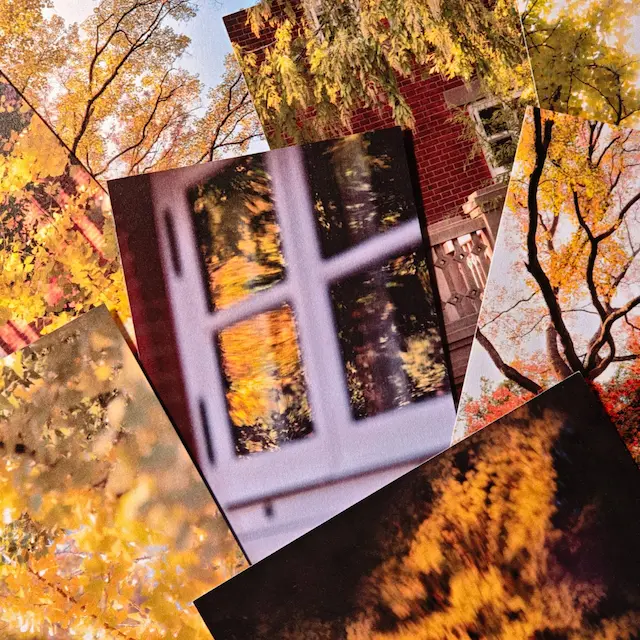 明信片的展示图片（1/5）