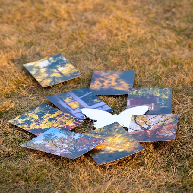 明信片的展示图片（2/5）