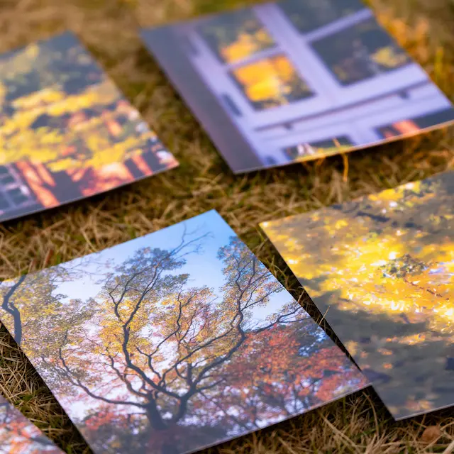 明信片的展示图片（3/5）