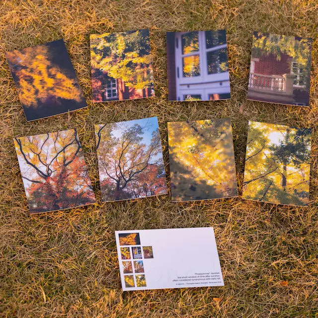 明信片的展示图片（4/5）